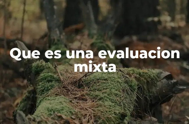 Que es una Evaluacion Mixta