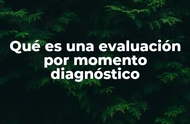 Qué es una Evaluación por Momento Diagnóstico