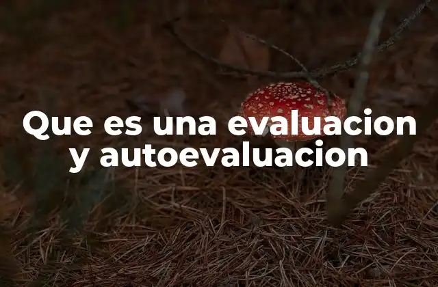 Que es una Evaluacion y Autoevaluacion