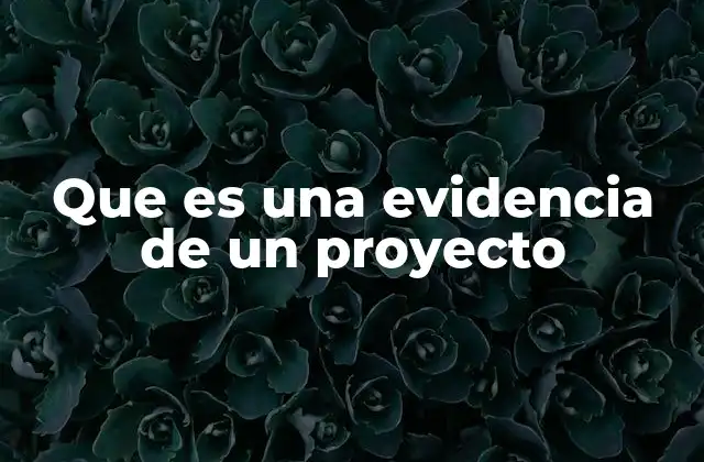 Que es una Evidencia de un Proyecto