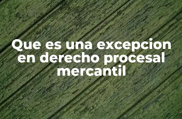 Que es una Excepcion en Derecho Procesal Mercantil
