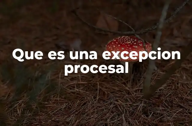 Que es una Excepcion Procesal