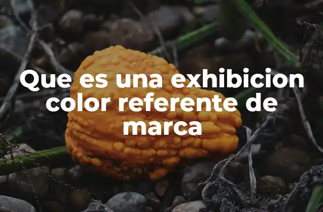 El poder del color en la comunicación de marca