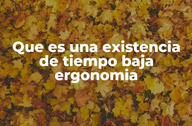 Que es una Existencia de Tiempo Baja Ergonomia
