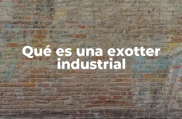 Qué es una Exotter Industrial