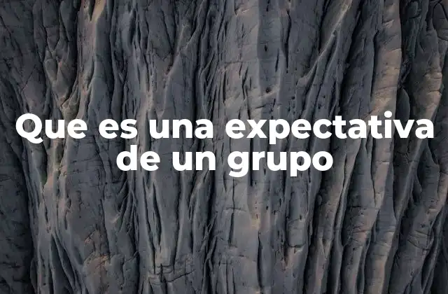 Que es una Expectativa de un Grupo