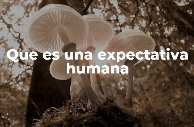 Que es una Expectativa Humana