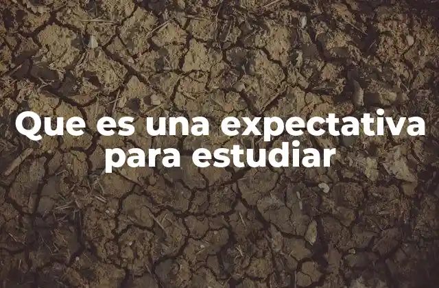 La importancia de tener un enfoque claro en la formación académica