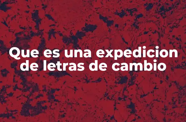 Que es una Expedicion de Letras de Cambio