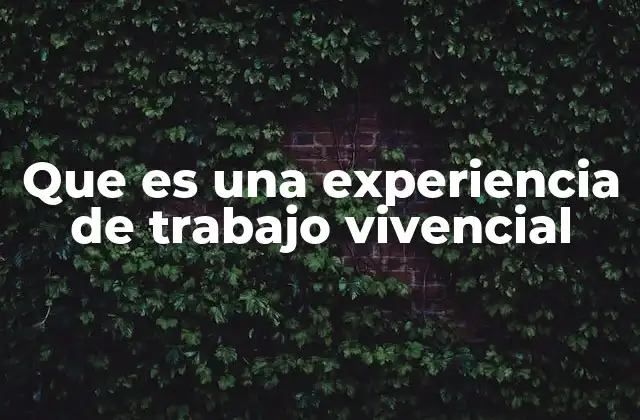 Que es una Experiencia de Trabajo Vivencial