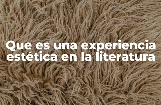 Que es una Experiencia Estética en la Literatura