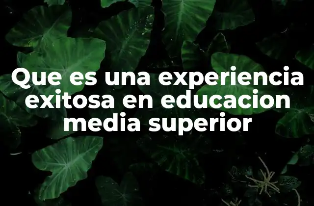 Que es una Experiencia Exitosa en Educacion Media Superior