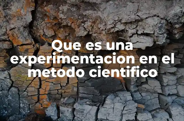 Que es una Experimentacion en el Metodo Cientifico 2 La importancia de la experimentación en la ciencia