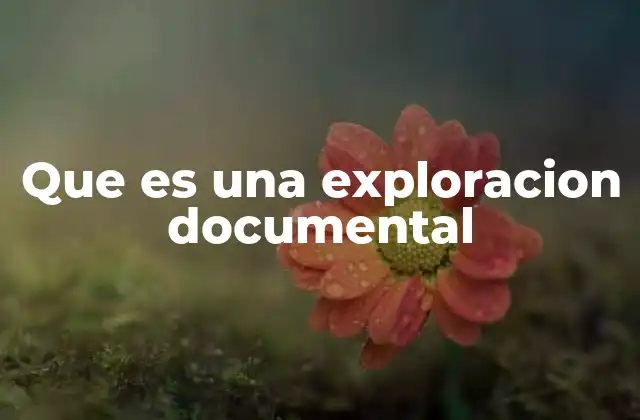 Que es una Exploracion Documental