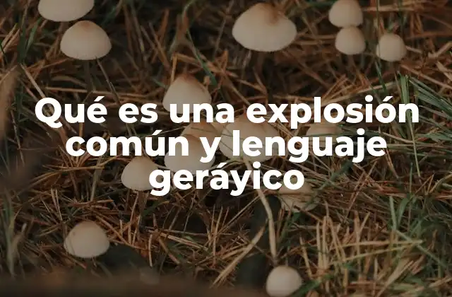Qué es una Explosión Común y Lenguaje Geráyico