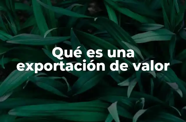 Qué es una Exportación de Valor