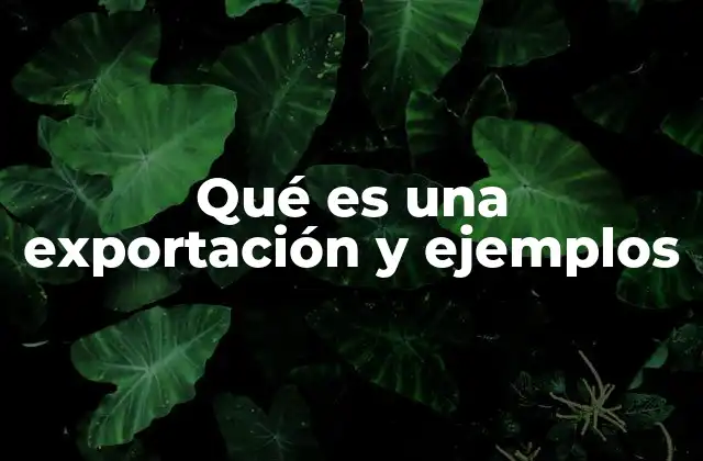 Qué es una Exportación y Ejemplos