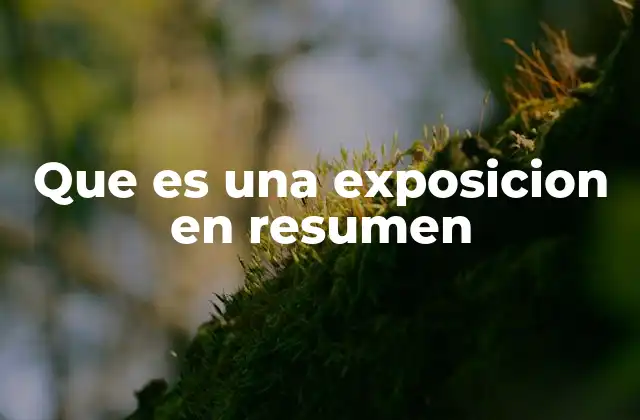 Que es una Exposicion en Resumen