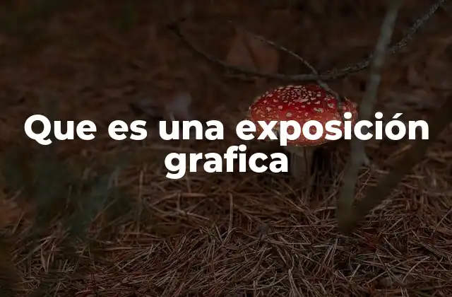 Aplicaciones de la exposición gráfica en distintos entornos