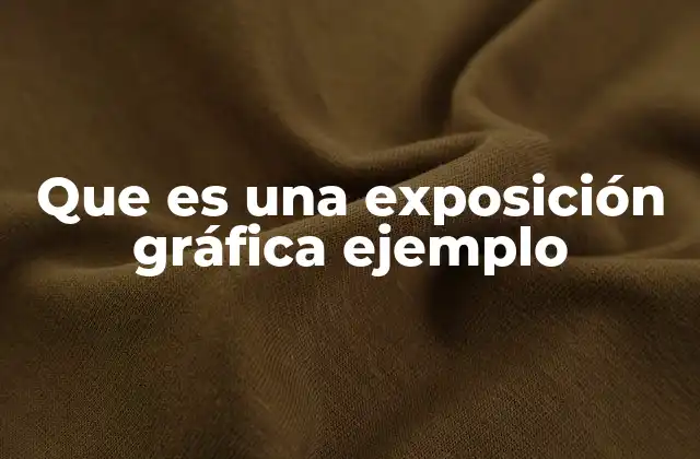 Que es una Exposición Gráfica Ejemplo