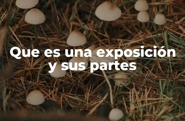 Que es una Exposición y Sus Partes