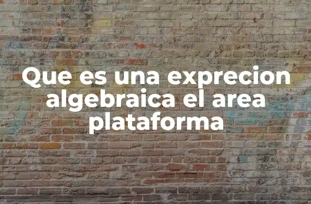 Que es una Exprecion Algebraica el Area Plataforma