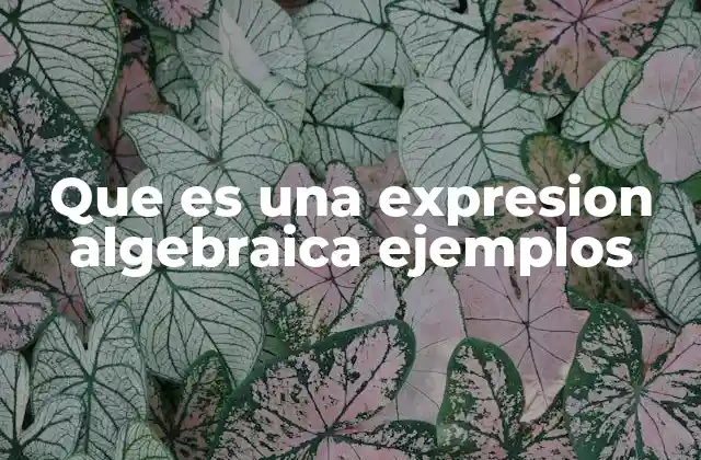 Que es una Expresion Algebraica Ejemplos