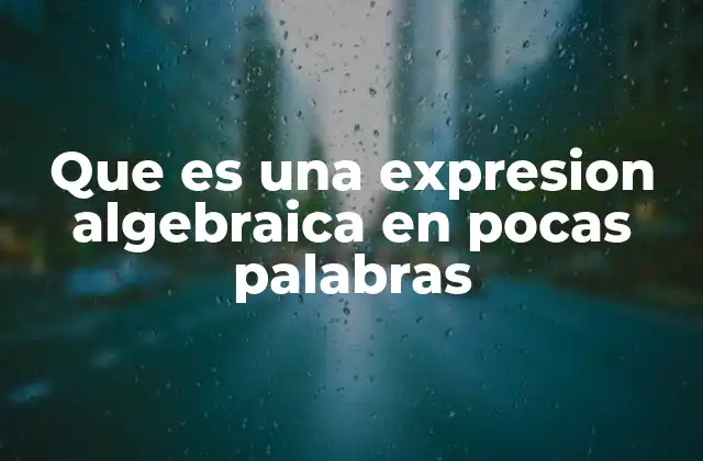 Que es una Expresion Algebraica en Pocas Palabras