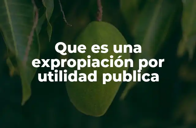 Cómo funciona el mecanismo de expropiación en el contexto legal