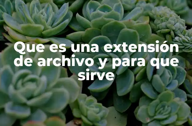 Que es una Extensión de Archivo y para que Sirve