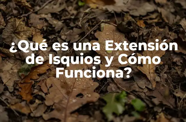 ¿qué es una Extensión de Isquios y Cómo Funciona? 2 Anatomía de los Isquiotibiales