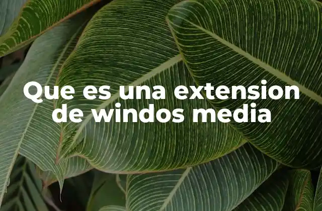 Que es una Extension de Windos Media