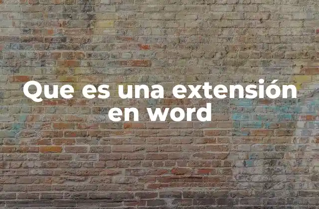 Que es una Extensión en Word