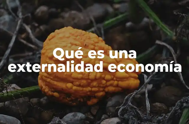 Qué es una Externalidad Economía