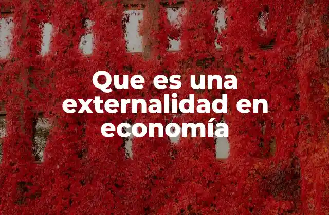 Que es una Externalidad en Economía