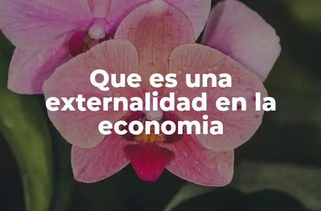 Que es una Externalidad en la Economia