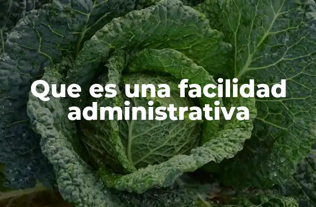 Que es una Facilidad Administrativa