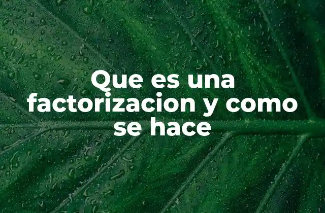 Que es una Factorizacion y como Se Hace