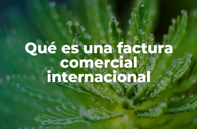 Qué es una Factura Comercial Internacional
