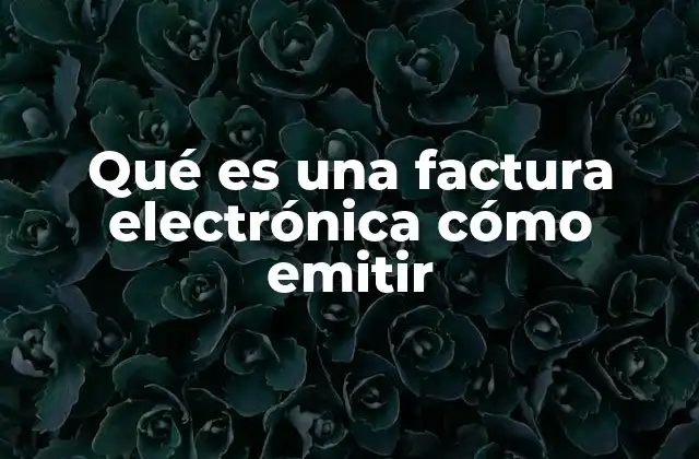 Qué es una Factura Electrónica Cómo Emitir