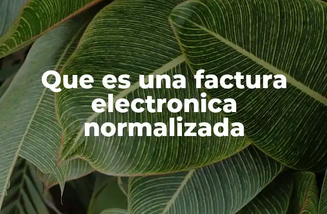 Que es una Factura Electronica Normalizada