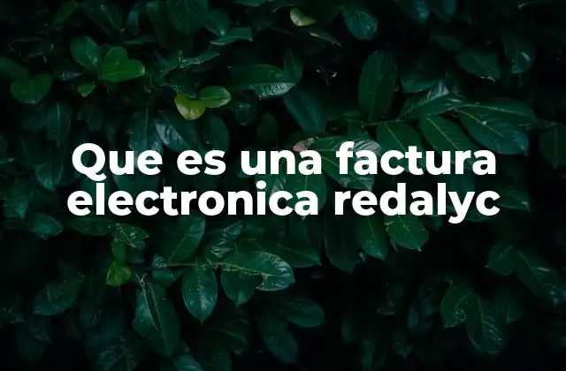 Que es una Factura Electronica Redalyc