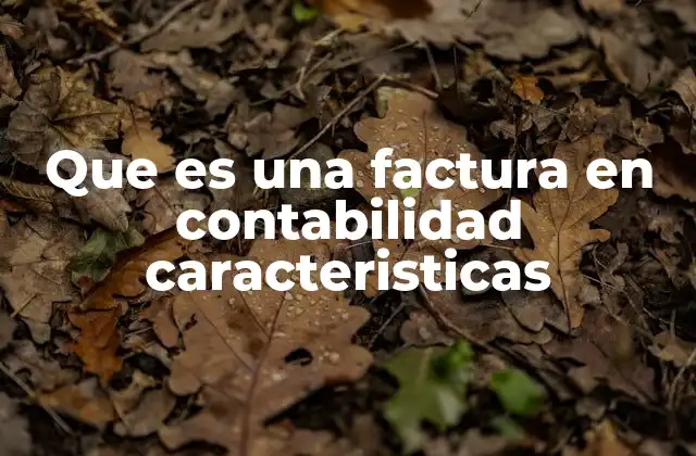 Que es una Factura en Contabilidad Caracteristicas