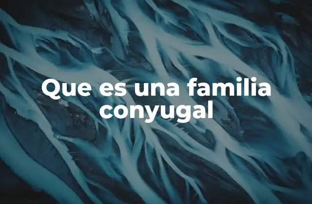 Que es una Familia Conyugal