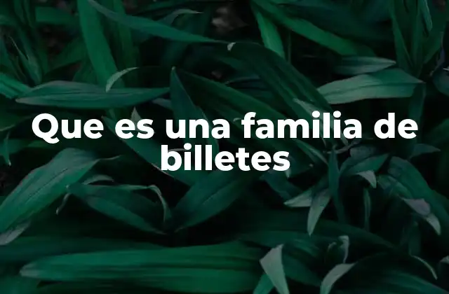 Que es una Familia de Billetes