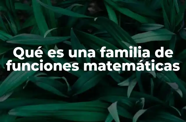 Cómo las familias de funciones ayudan a entender patrones matemáticos