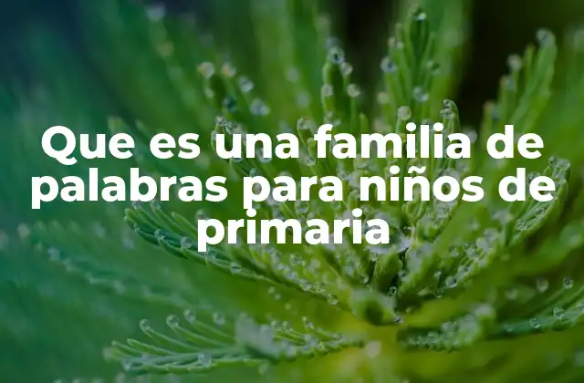 Que es una Familia de Palabras para Niños de Primaria