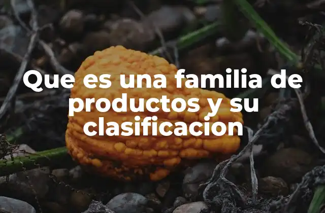Que es una Familia de Productos y Su Clasificacion
