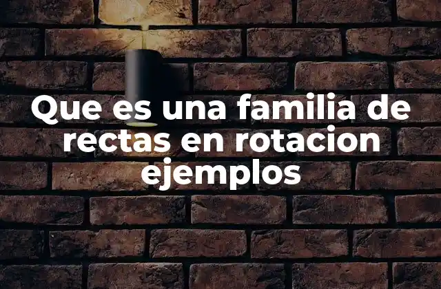 Que es una Familia de Rectas en Rotacion Ejemplos