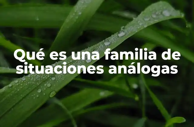 Qué es una Familia de Situaciones Análogas